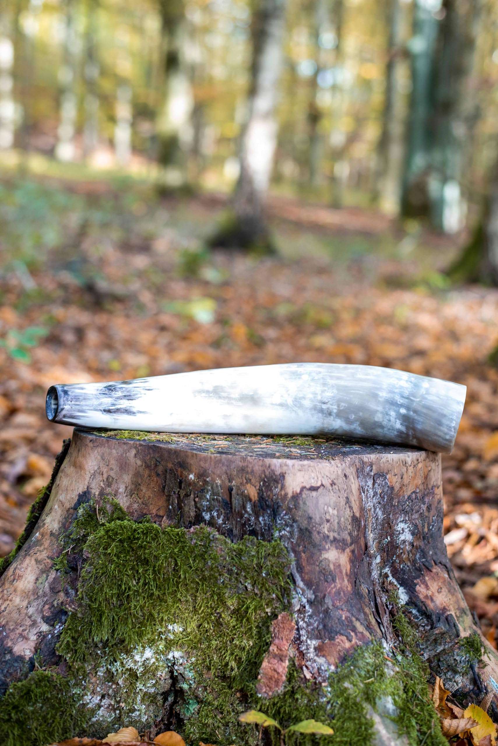 Weisskirchen Ochsenhorn Hirschruf 40 cm