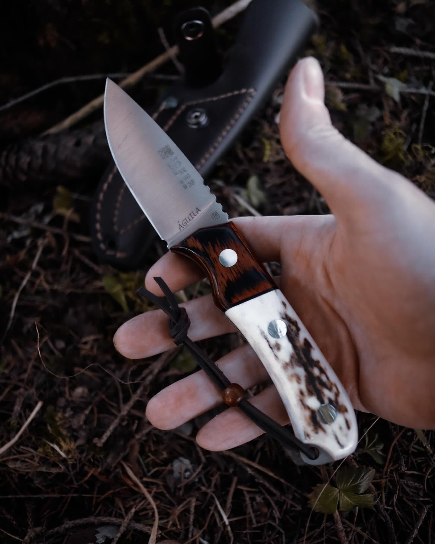 Joker Aguila CC103 Jagdmesser Hirschhorn 8,5 cm