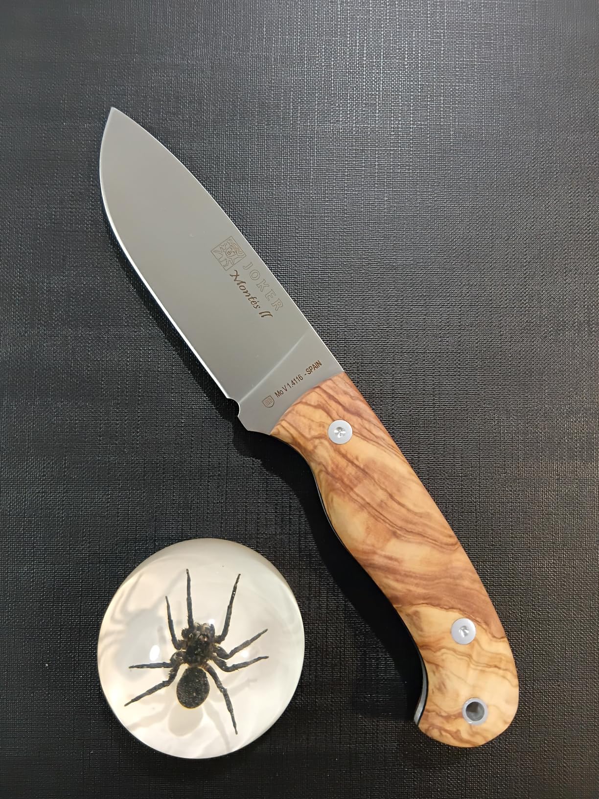 Joker Montes II CO58 Gürtelmesser Olivenholz 11 cm