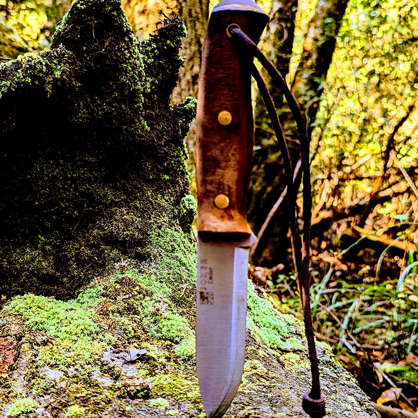Joker Ember Scandi CN122 Jagdmesser Walnuss 10,5 cm mit Paracord