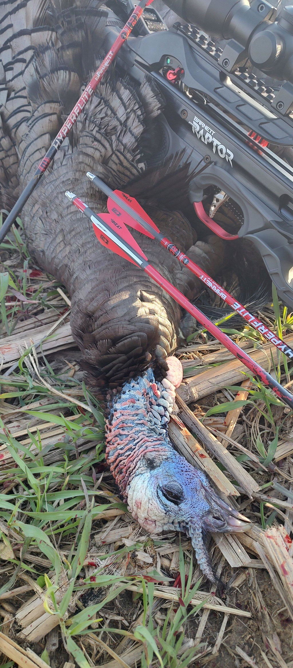 Barnett Hyper Raptor Armbrust 410 fps HyperFlite