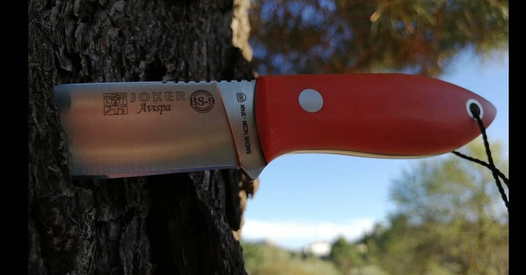 Joker Avispa CN117 Gürtelmesser Orange 8 cm Sandvik