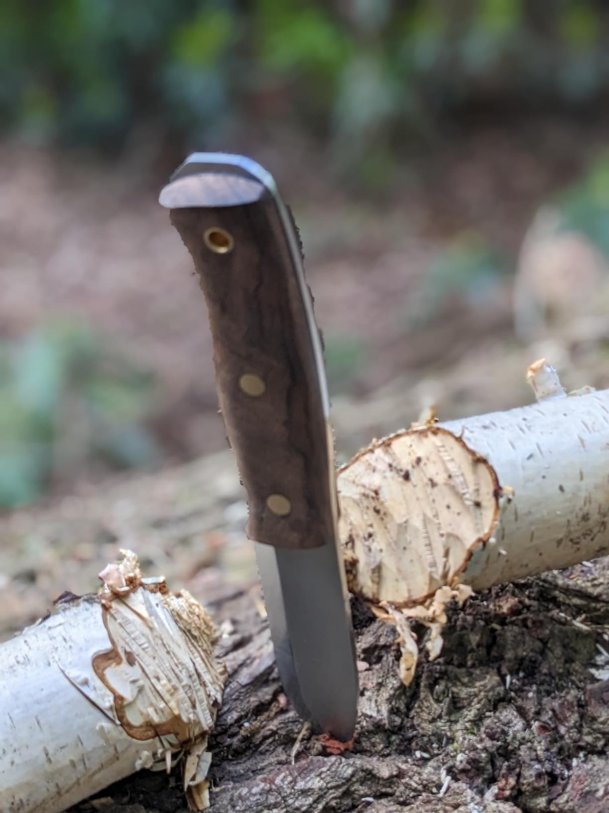 Joker Ember Scandi CN122 Jagdmesser Walnuss 10,5 cm mit Paracord
