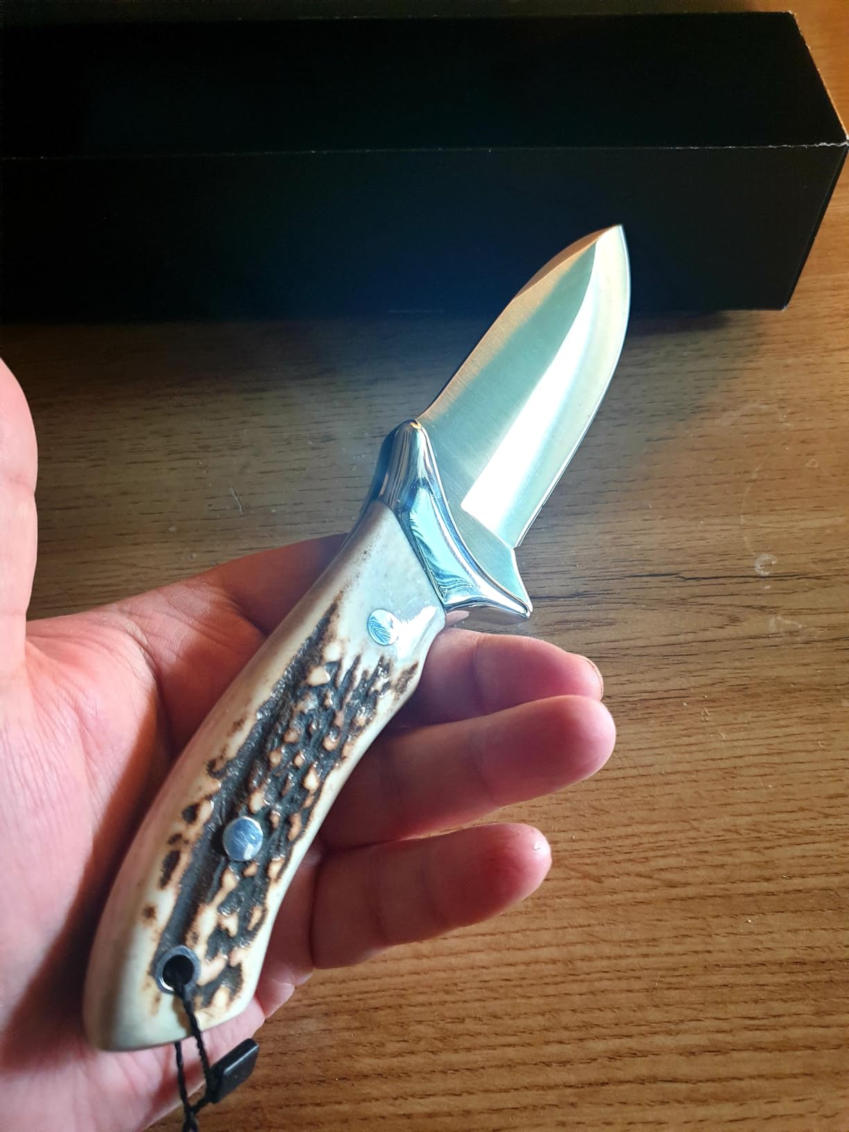 Joker Venado CC06 Jagdmesser Hirschhorn 11 cm