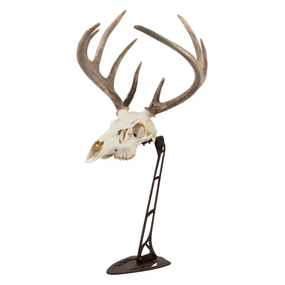 Allen EZ Mount Trophäenständer Braun Stahl
