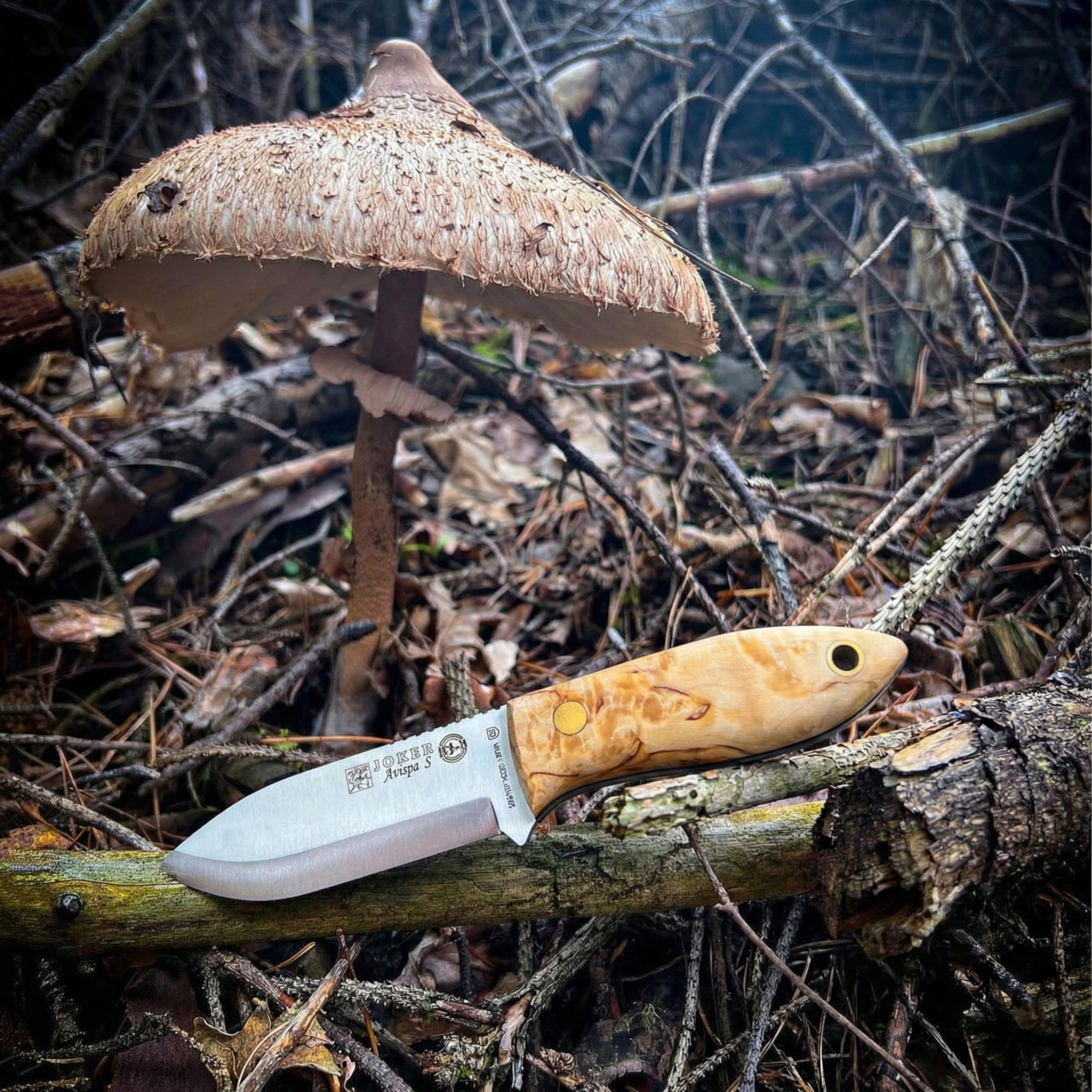 Joker Avispa S CL121 Bushcraftmesser Birke 8 cm