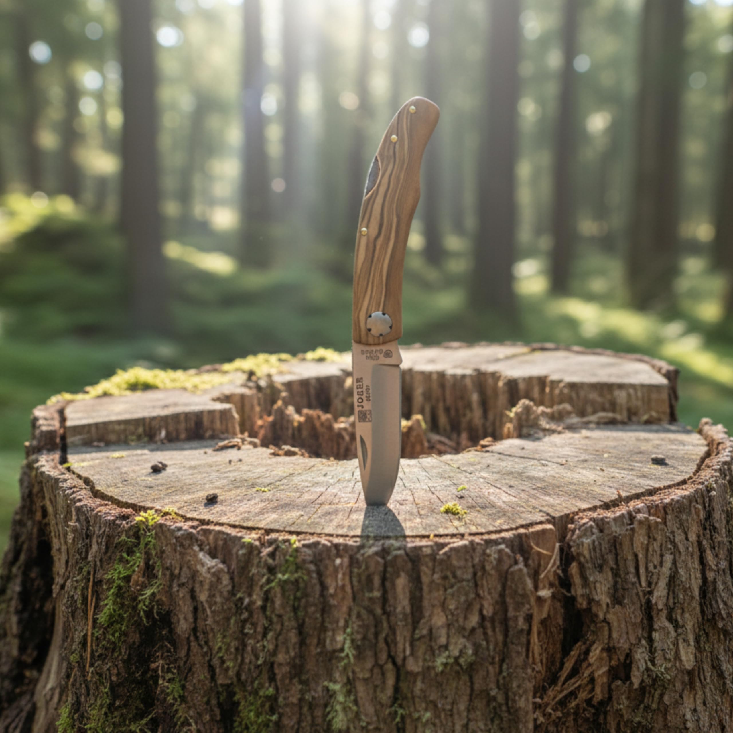 Joker Setter NO113 Klappmesser Olivenholz 8 cm rostfrei