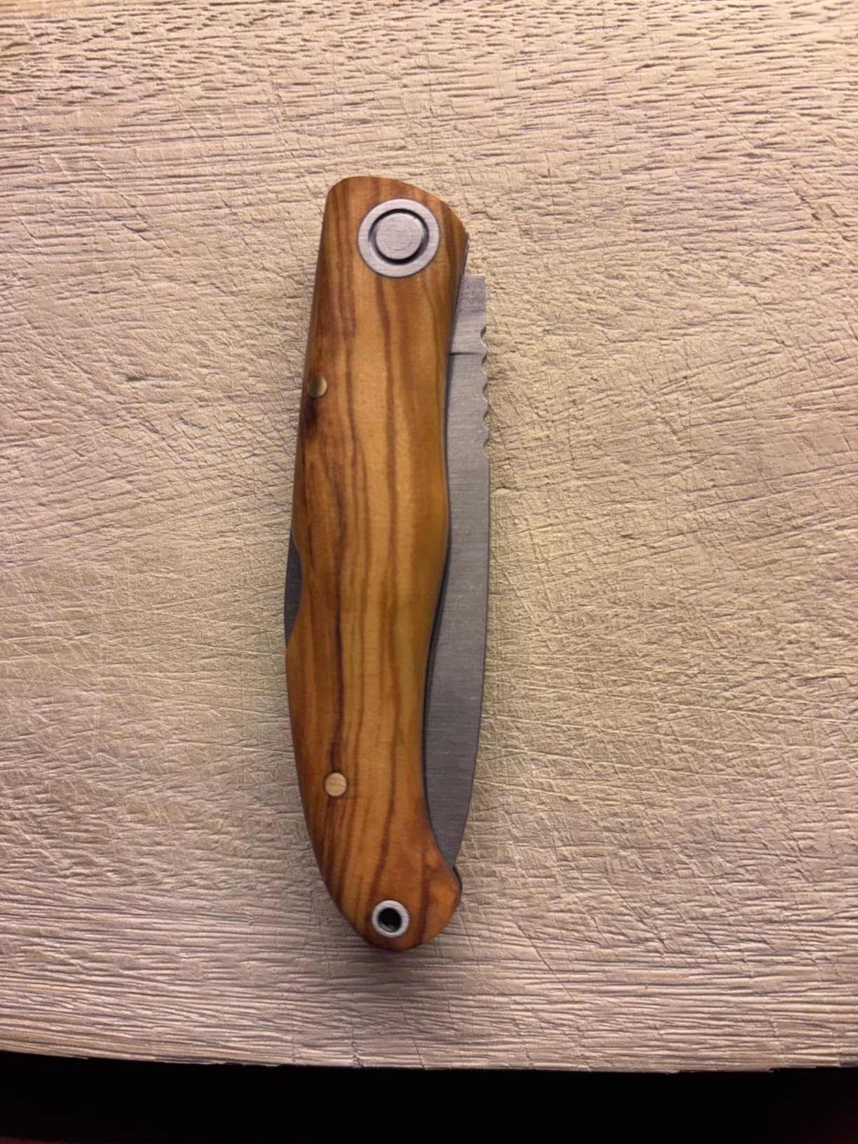 Joker Koala NO124 Klappmesser Olivenholz 7 cm MOVA
