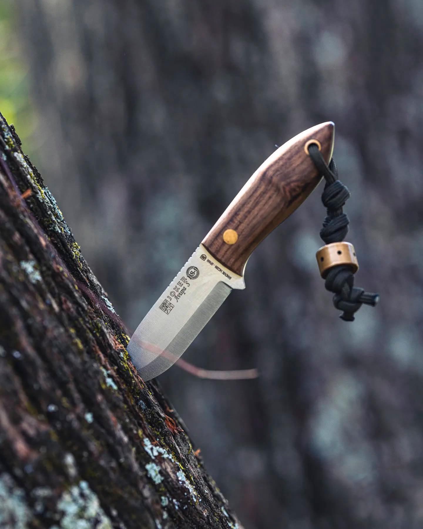Joker Avispa S CN121 Jagdmesser Walnuss 8cm Lederscheide