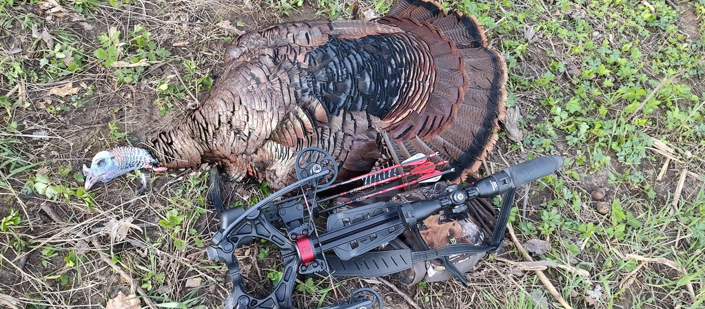 Barnett Hyper Raptor Armbrust 410 fps HyperFlite