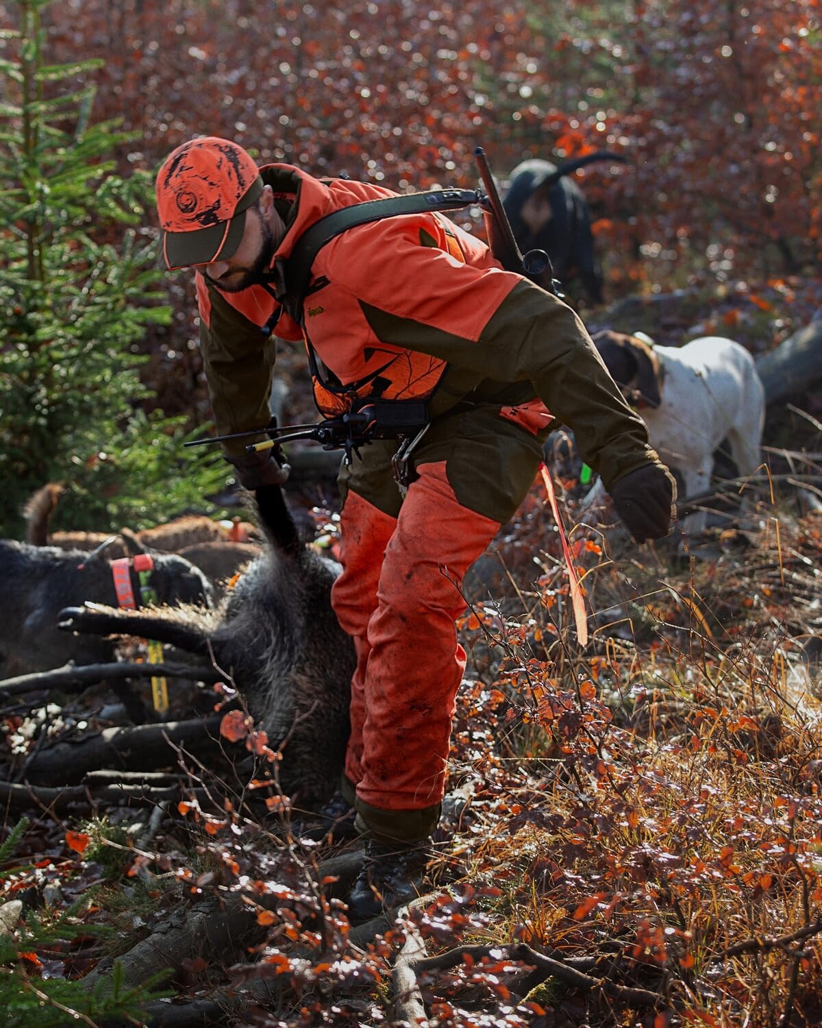 Härkila Wildboar Pro Jacke Orange 50 dornenfest