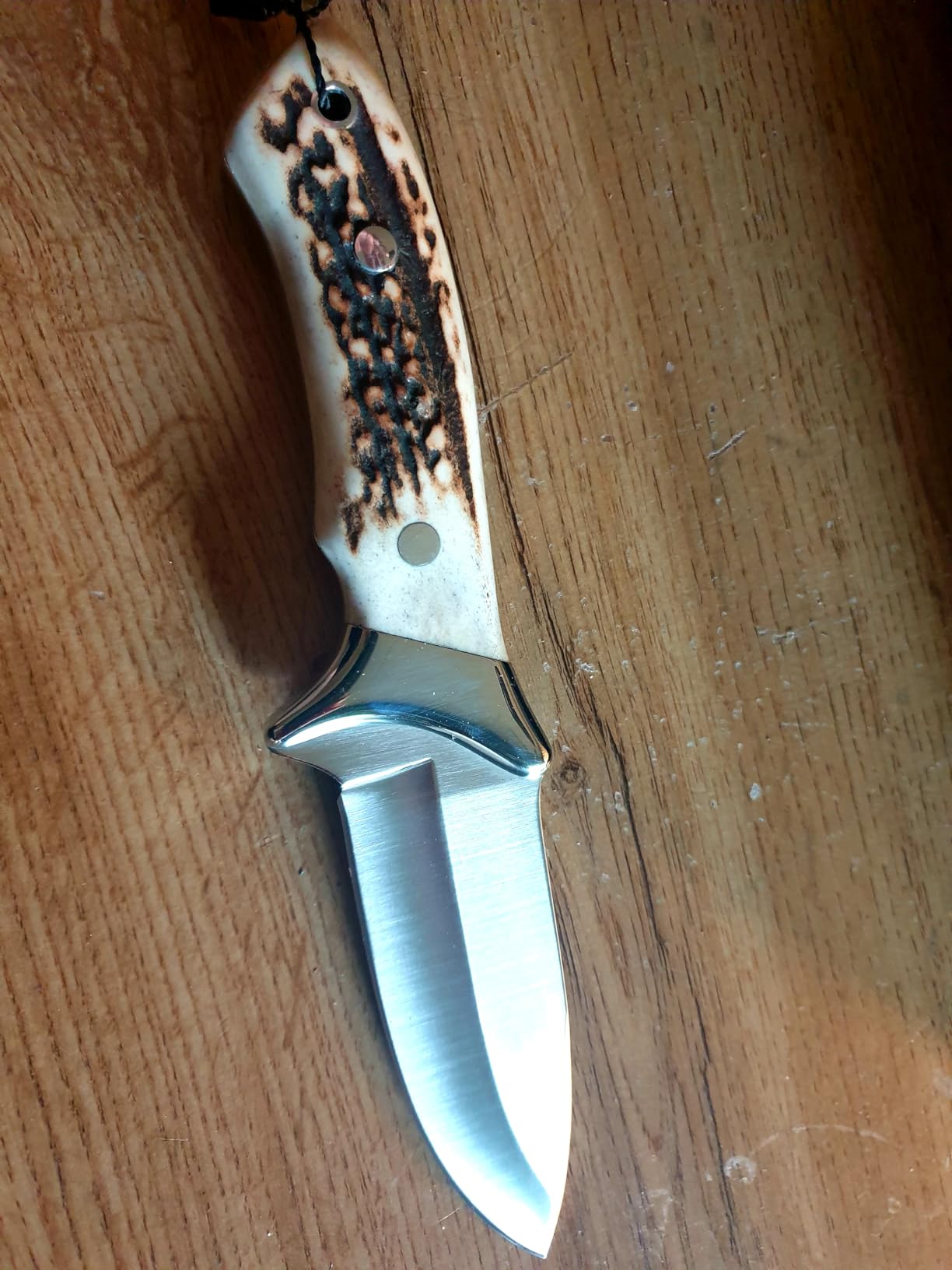 Joker Venado CC06 Jagdmesser Hirschhorn 11 cm