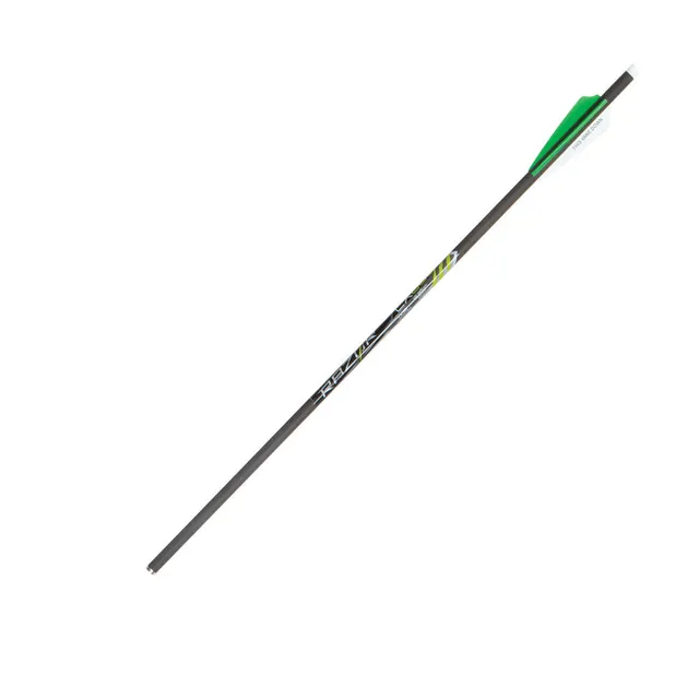 Allen CX600 Armbrustbolzen 20 Zoll Carbon