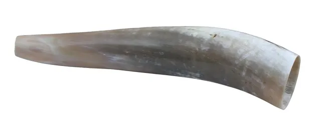 Weisskirchen Ochsenhorn Hirschruf 40 cm