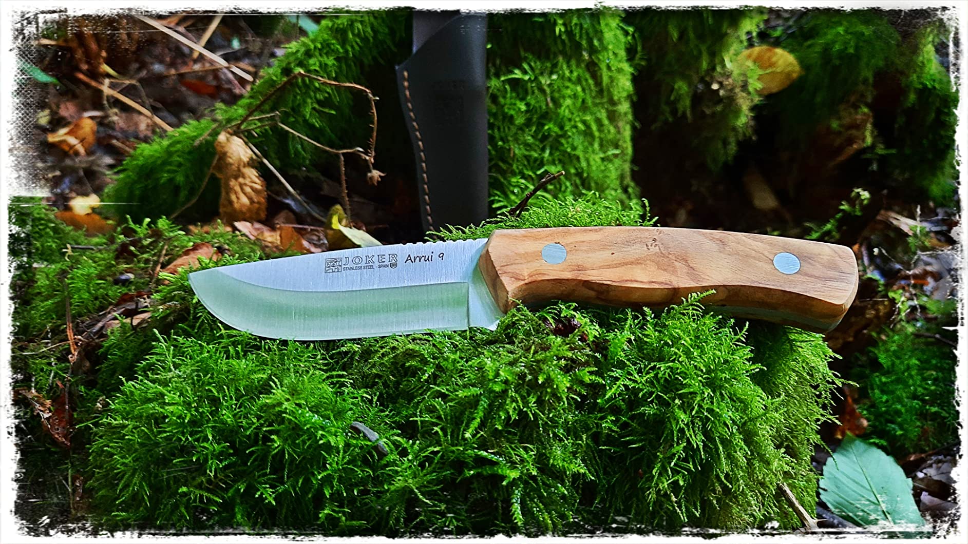 Joker Arrui 9 CO64 Bushcraft-Messer 9 cm Olivenholz