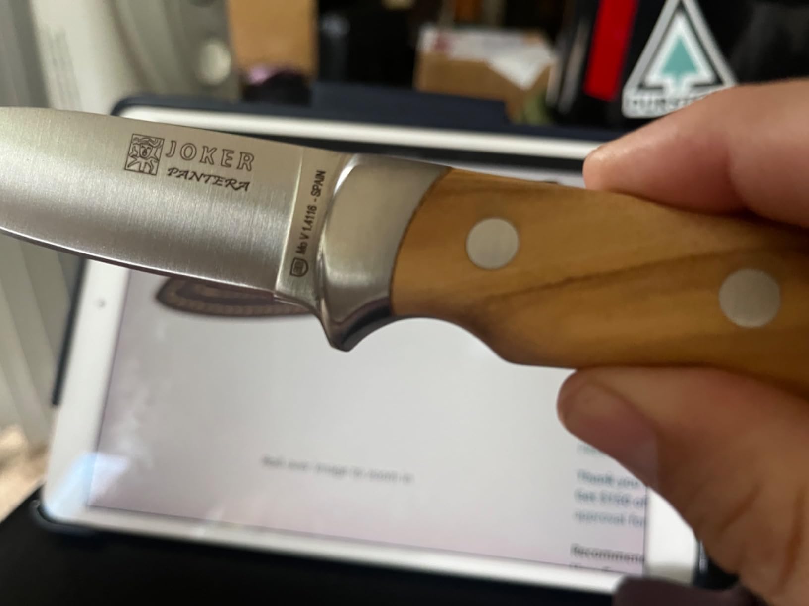 Joker Pantera CO16 Jagdmesser Olivenholz 10 cm Lederscheide