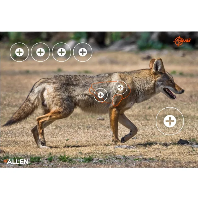 Allen Coyote Papier-Zielscheibe Coyote