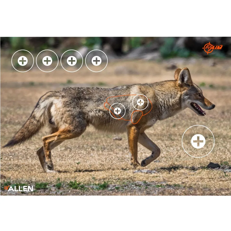 Allen Coyote Papier-Zielscheibe Coyote