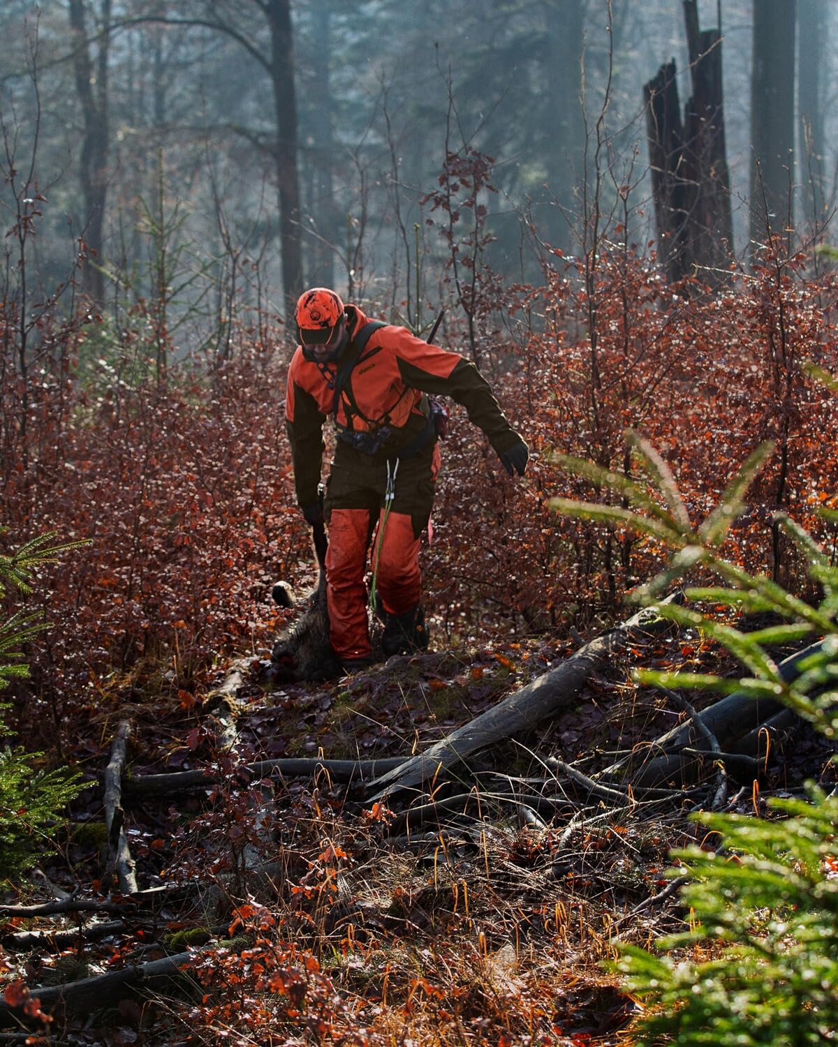Härkila Wildboar Pro Jacke Orange 50 dornenfest