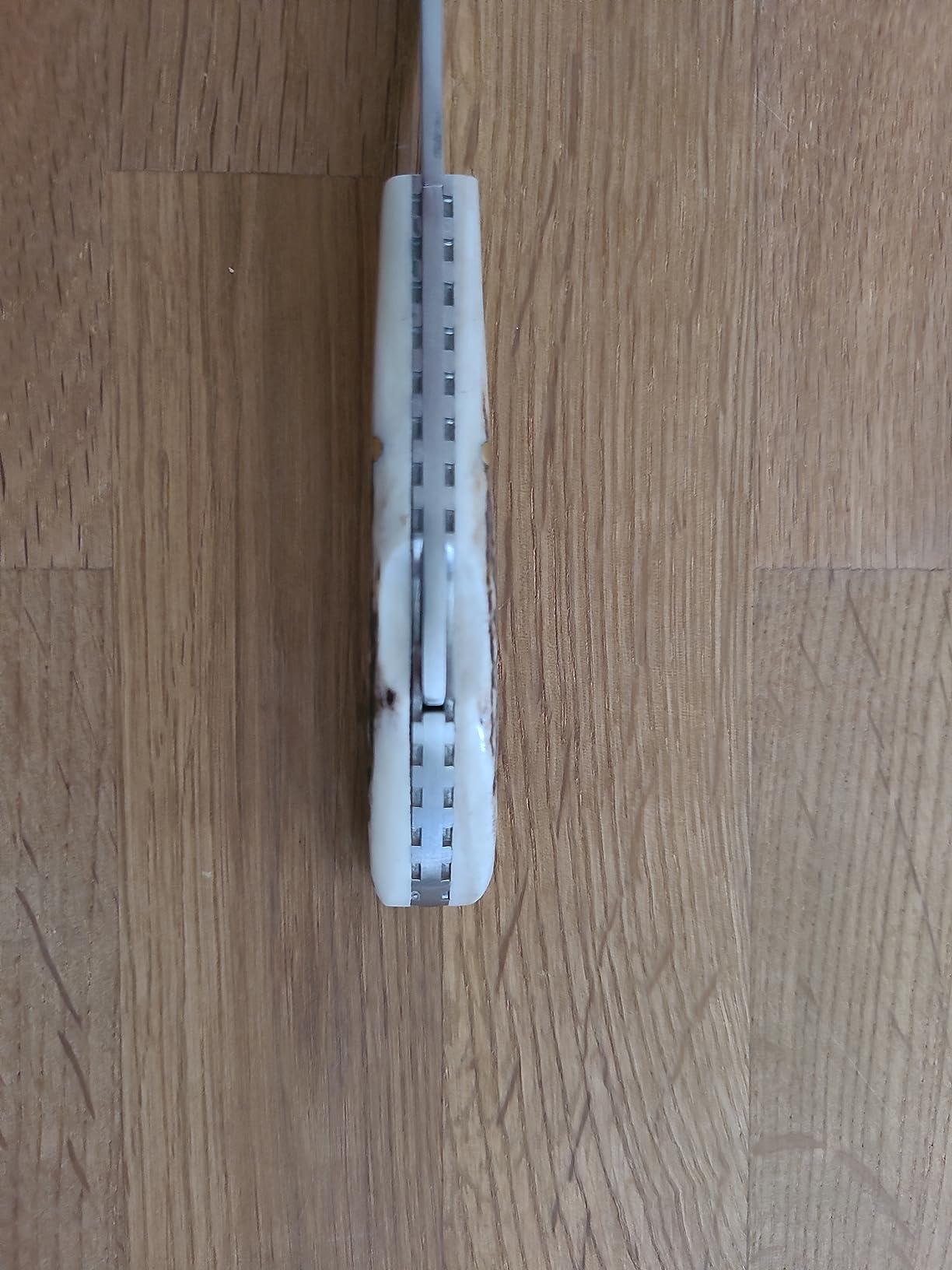 Joker Setter NC111 Taschenmesser 6,5 cm Hirschhorn