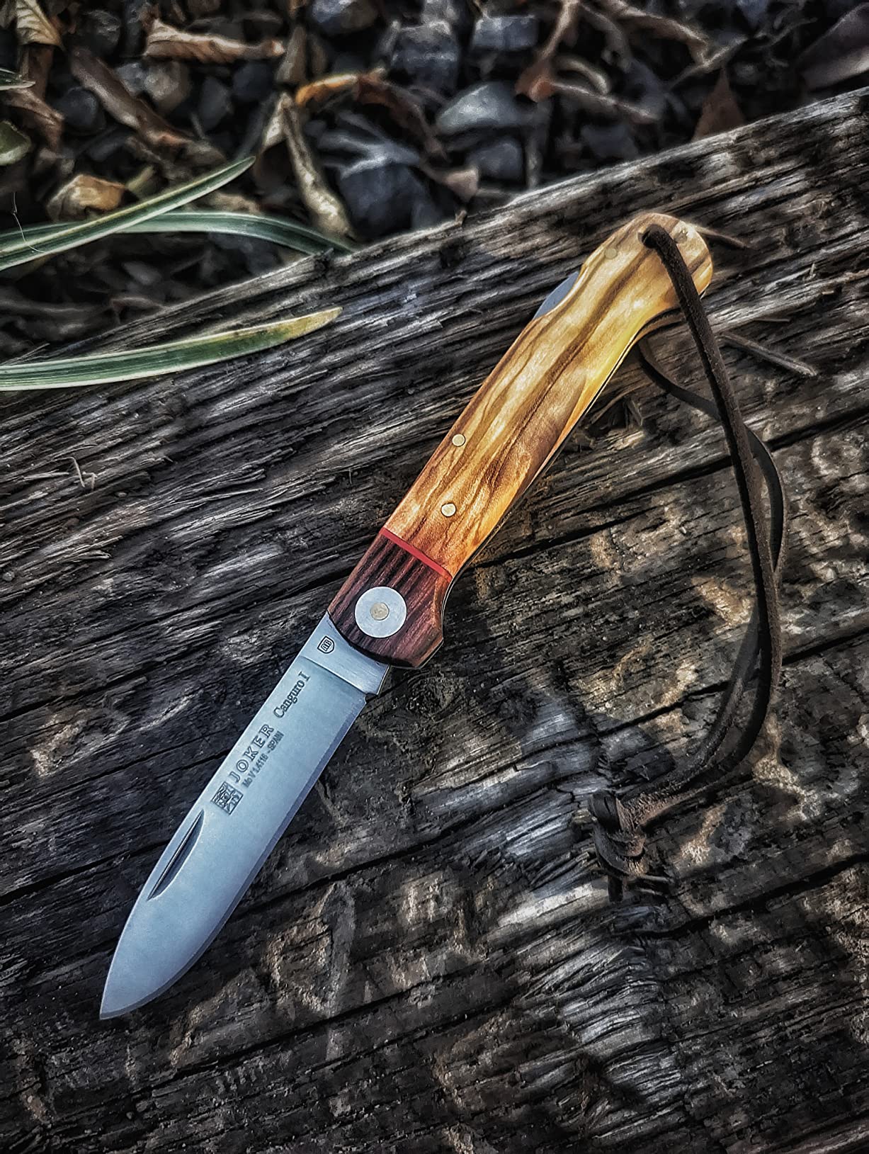 Joker Canguro I NO129 Jagdmesser Olivenholz 8,5 cm