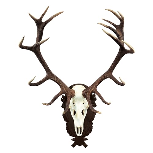 Wald & Forst Hirsch Trophäenschild Hellbraun Eiche